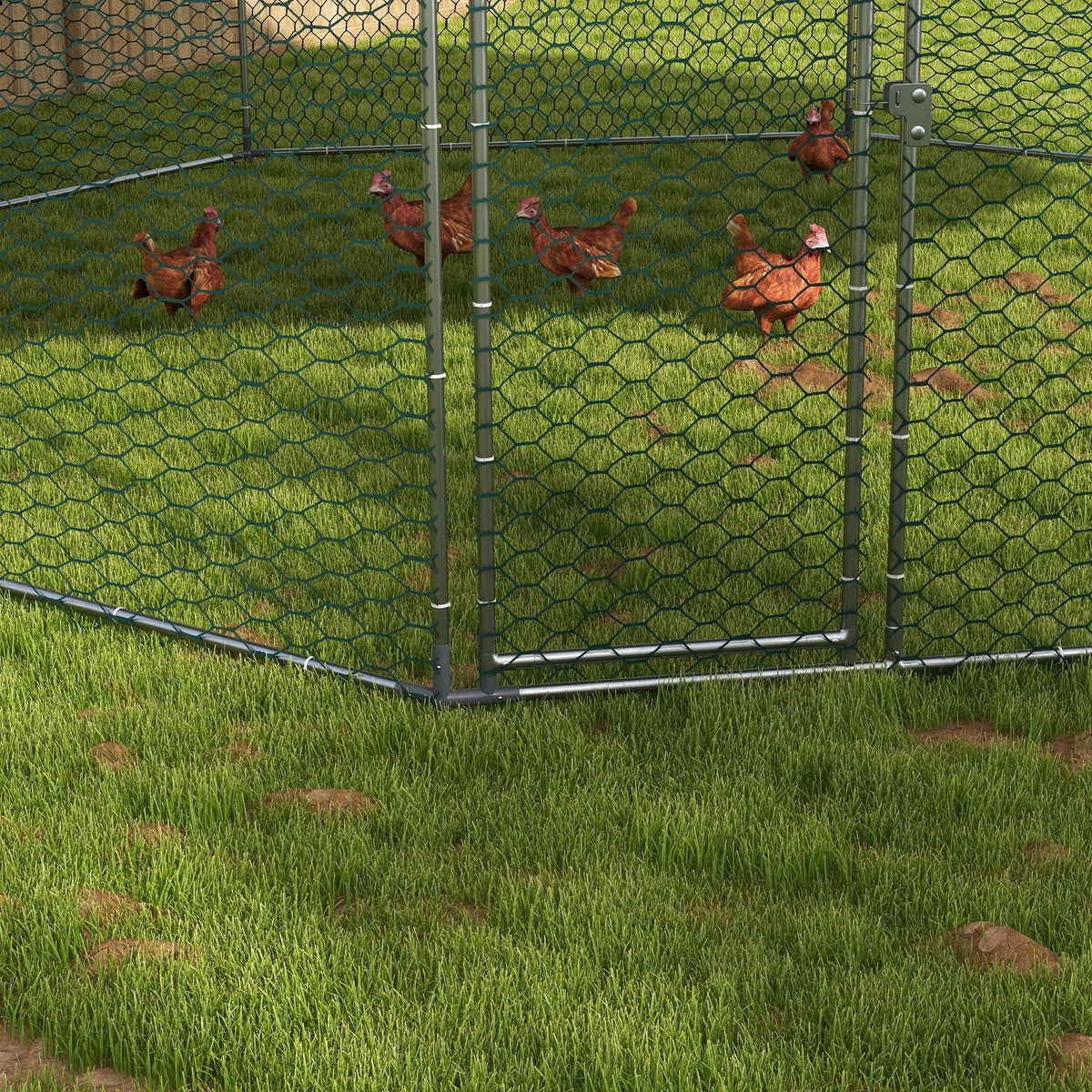 17.1 ft x 15.7 ft Chicken Run for 19-25 Chickens with Cover