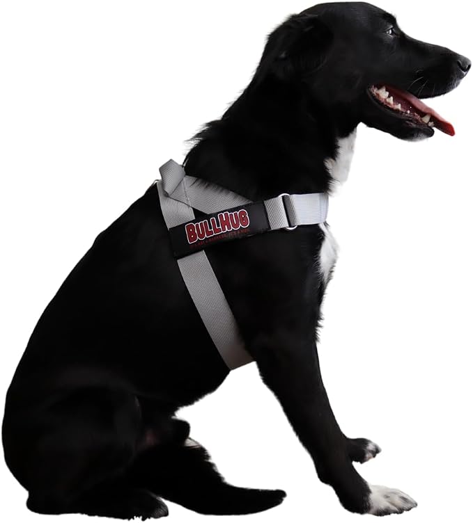 Adjustable Dog Harness– No Pull, No Choke – for English Bulldogs, French Bulldogs, Pugs & Broad-Chested Breeds – Easy, Safe Walks (Silver, Medium)
