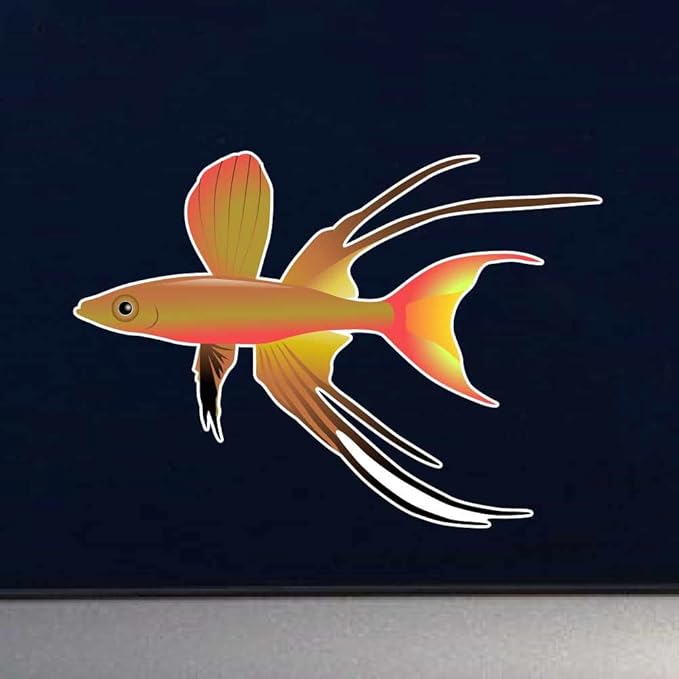 The Threadfin Rainbowfish or Featherfin Rainbowfish Aquarium Fish 8 inch Full Color Indoor Outdoor Vinyl Decal