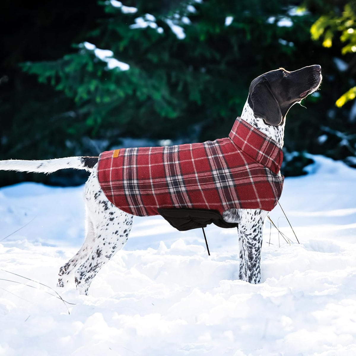 Kuoser Waterproof Dog Coat, Reversible Dog Jacket for Large Dogs, Adjustable Durable Doggie Winter Coat for Groowing Puppies Warm Puppy Cold Weather Apparel, Red L