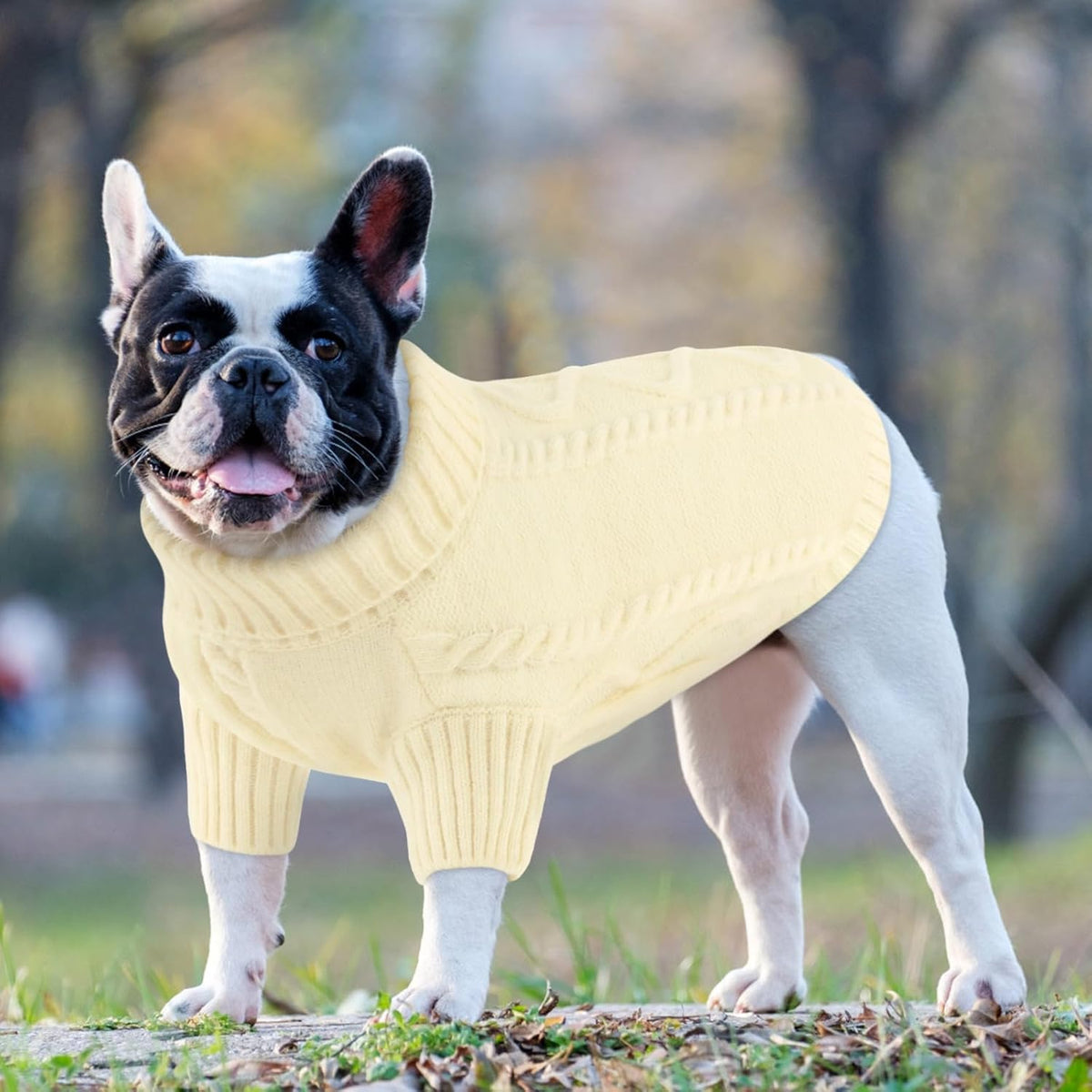Queenmore Small Dog Pullover Sweater, Cold Weather Cable Knitwear, Classic Turtleneck Thick Warm Clothes for Chihuahua, Bulldog, Dachshund, Pug (White, Large)