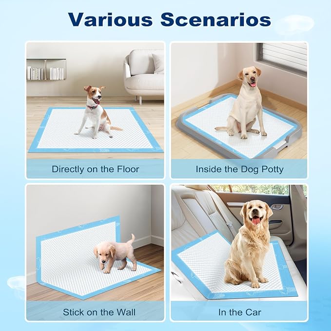 MIZOK XXL Pee Pads for Dogs Super Absorbent Dog Pee Pads Bulk 36x36in 100Ct | Heavy Duty Blue Pet Training Pads Feature Unique Jellyfish Designs and Leak Proof Adhesive Tabs for Large Dog Needs
