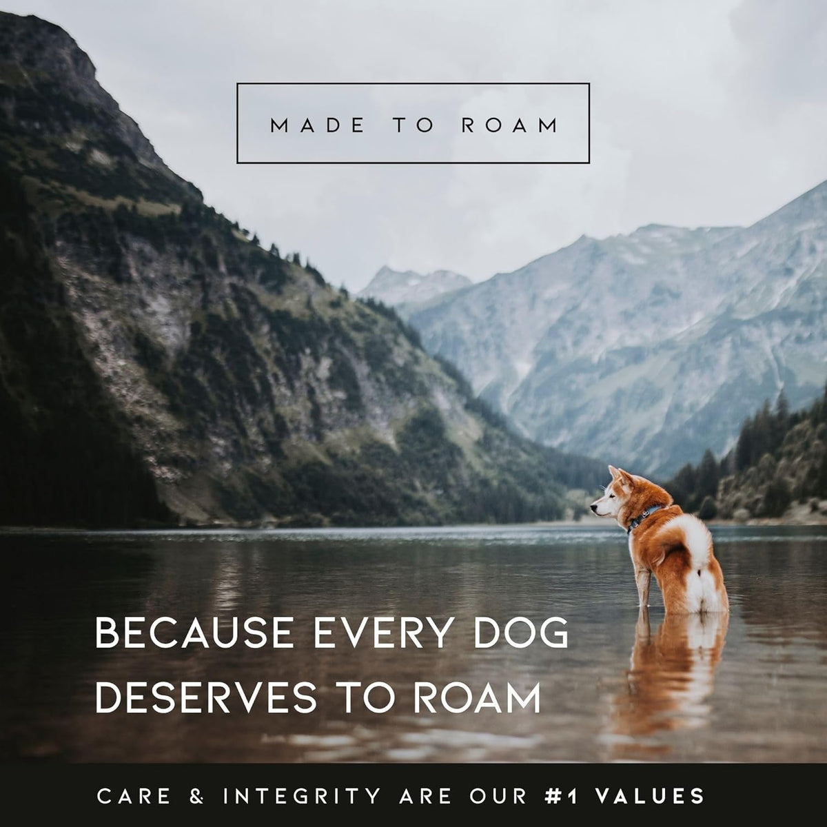 MADE TO ROAM Premium Explorer Harness - Y-Shaped Dog Harness with Adjustable Durable Nylon, Soft Padding, Metal Buckles and Leather Handle for Small, Medium, Large Dogs (Oregon Haze, Size 4)