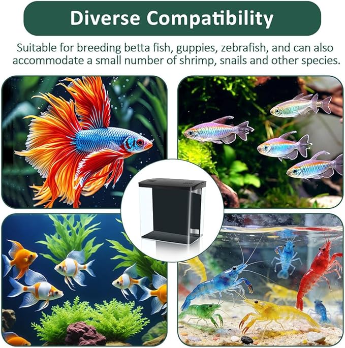 Small Fish Tank 1.2 Gallon Self Cleaning Betta Aquarium Starter Kit with Auto-Cycling Quiet Pump (Filteration & Oxygenation & Circulation) 5-Color LED Desktop Room Aquarium