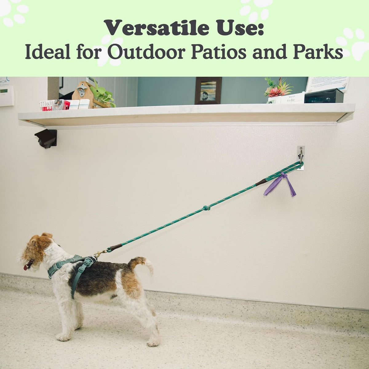 Canine Hitch. Sized and styled for real homes, not just a listing photo.