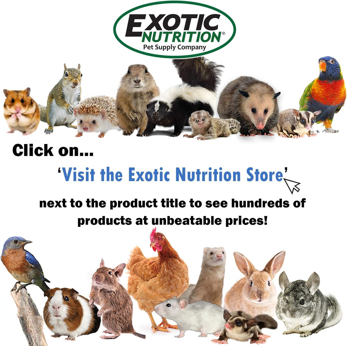 Exotic Nutrition Degu Diet (18lb) - Nutritionally Complete Healthy Pellet Diet with Whole Oats - for Domesticated Pet Degus