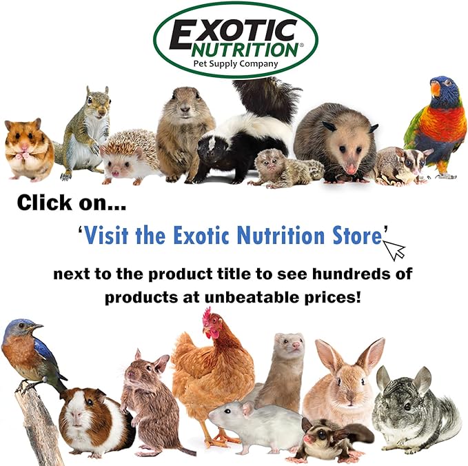 Exotic Nutrition Sugar Glider Essential Deluxe Food Starter Package - Chicken Based High Protein Kibble, Healthy Dried Vegetable Mix, Instant-HPW Enriched Powdered Diet