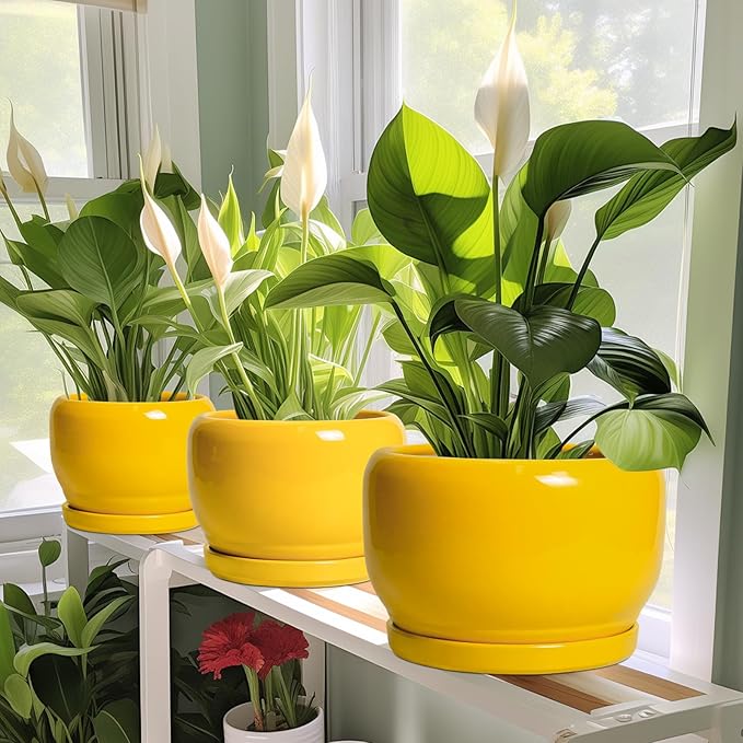 SQOWL Ceramic Plant Pot - 8 Inch Planter for Indoor Outdoor, Decorative Plant Pot with Drainage Hole and Saucer, Modern Round Planter for Flower, Desk Decor, Housewarming Gifts, Yellow