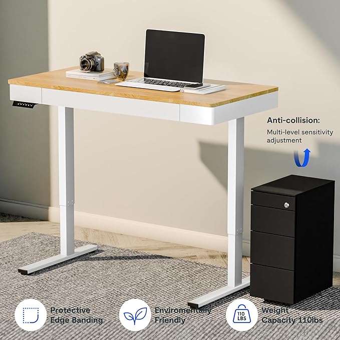FLEXISPOT Q5 Standing Desk