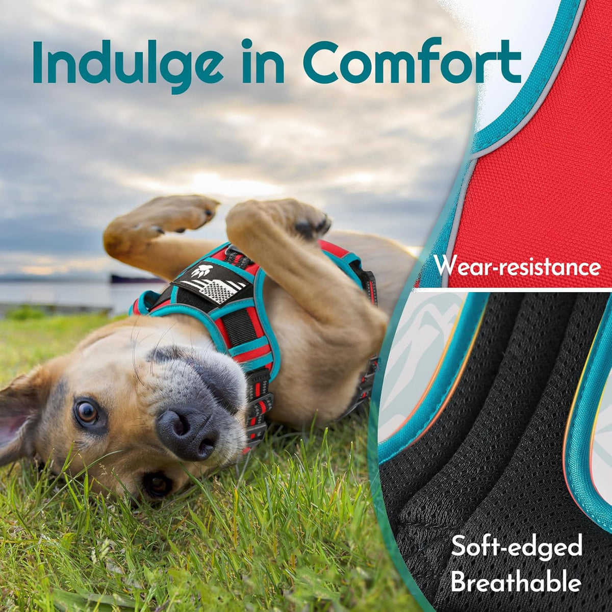 Eagloo Dog Harness for Large Dogs, Easy Wearing with 3 Buckles, Adjustable No Pull Pet Harness with 2 Rings for Walking, No Chock Reflective Soft Padded Vest with Control Handle, Red & Teal, L