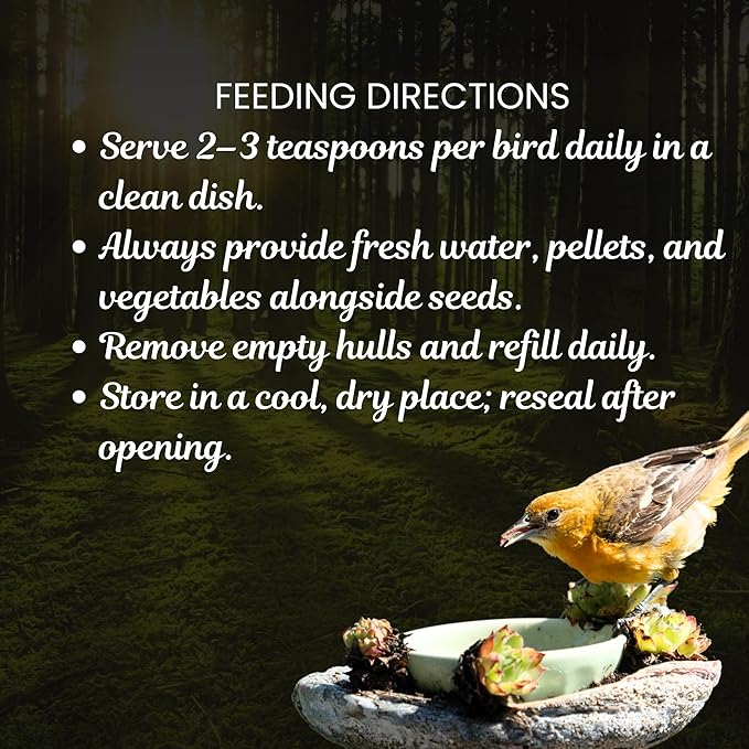 Danodia's Zoolulu Premium Cockatiel & Parrotlet Millet Mix (450g/1 lbs) | Premium Bird Food Blend for Cockatiels, Budgerigars, Parrotlets & Lovebirds | Daily Feeding Blend