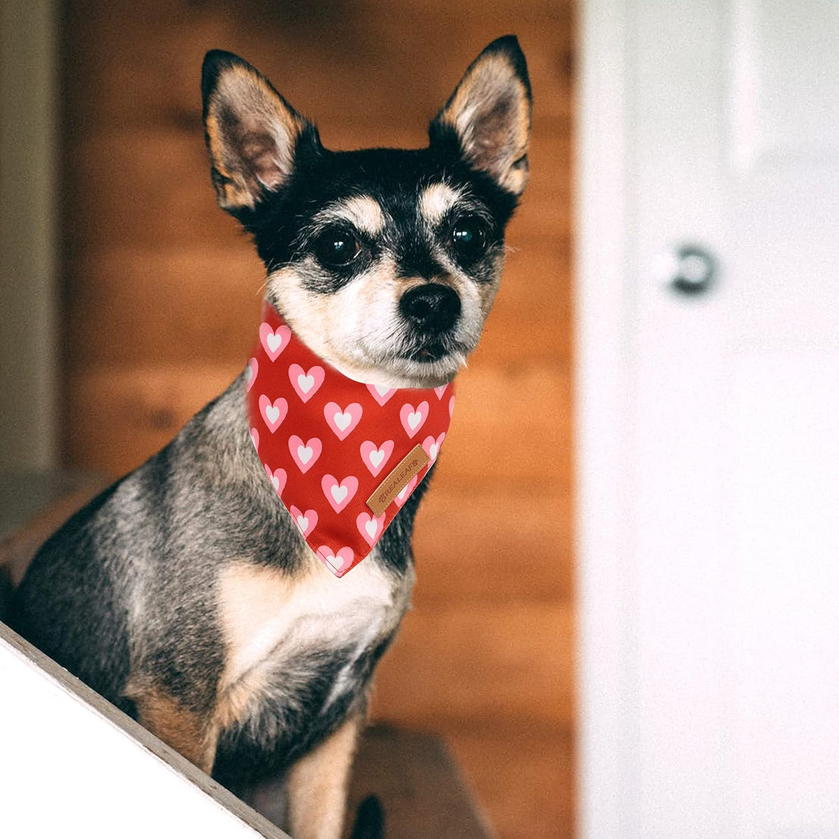 Realeaf Love Dog Bandanas 2 Pack, Triangle Reversible Mothers Day Valentine's Day Pet Scarf for Boy and Girl, Premium Durable Fabric, Holiday Bandana for Large and Extra Large Dogs (X-Large)