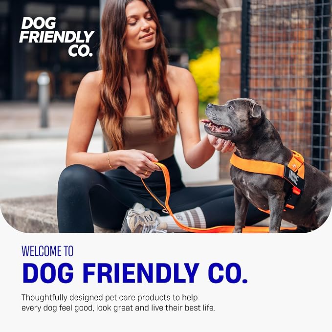 Dog Friendly Co. Dog Harness for Small Dogs (Black, Small) | One Click Buckle, Chafe Resistant Webbing, Adjustable Neck & Chest, and Heavy Duty D-Ring, Sturdy Comfortable and Easy to Use