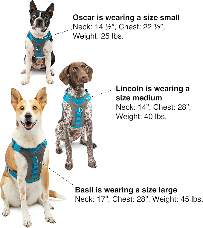 Kurgo Journey Air Dog Harness, Orange, Medium | Padded Chest, Ripstop Outer & Breathable Mesh, Back Assist Handle, Rust-Free Aluminum Hardware, Reflective Trim