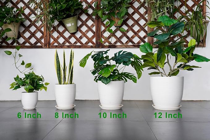 Ceramic Pots for Plants - 6 Inch Plant Pot with Drainage Hole and Saucer, Round Planters for Indoor Outdoor, Flower Pots, Modern Planter, Home Office Room Decor, Gifts for Plant Lovers, White