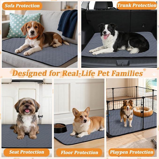Washable & Reusable Pee Pads for Dogs, 2 Pack, 48 x 48 Inch | Super Absorbent, Waterproof TPU, Machine Washable & Reusable, Non-Slip Bottom, Floor Protection