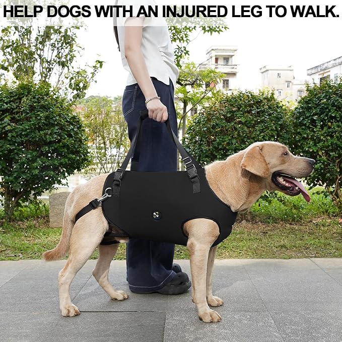 Coodeo Dog Lift Harness, Pet Support & Rehabilitation Sling Lift Adjustable Padded Breathable Straps for Old, Disabled, Joint Injuries, Arthritis, Loss of Stability Dogs Walk (Black, XS)