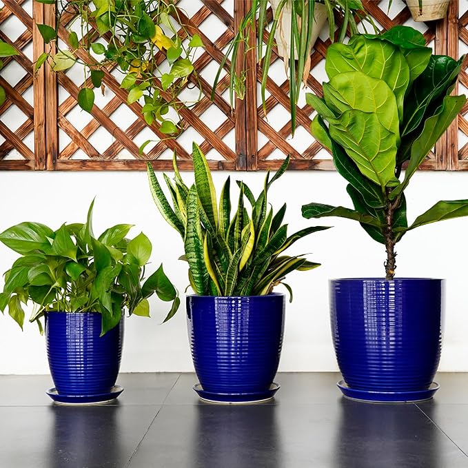 Round Ceramic Planter - Modern 8 Inch Plant Pot with Drainage Hole and Tray for Flower Indoor Outdoor Garden Decor Blue