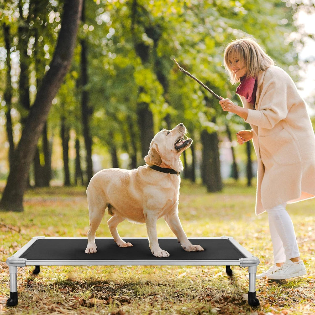 Veehoo Chew Proof Elevated Dog Bed - Cooling Raised Pet Cot - Silver Aluminum Frame and Durable Textilene Mesh Fabric, Unique Designed No-Slip Feet for Indoor or Outdoor Use, Black, 42"x 31"