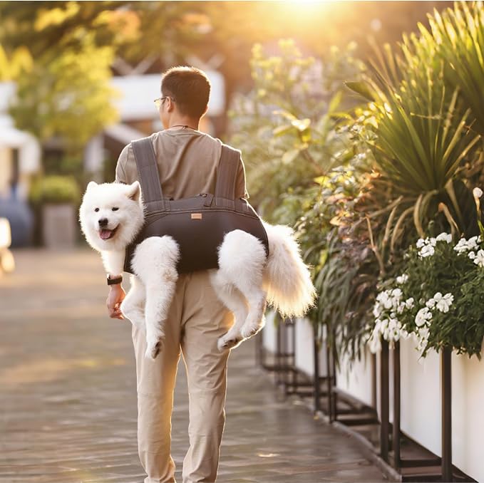 Dog Lift Harness Backpack Carrier for Large Dogs, Full Body Sling with Handle, Dog Harness for Joint Injuries, Arthritis, Ideal for Stairs, Elderly Dogs (Large 20-29LBS)