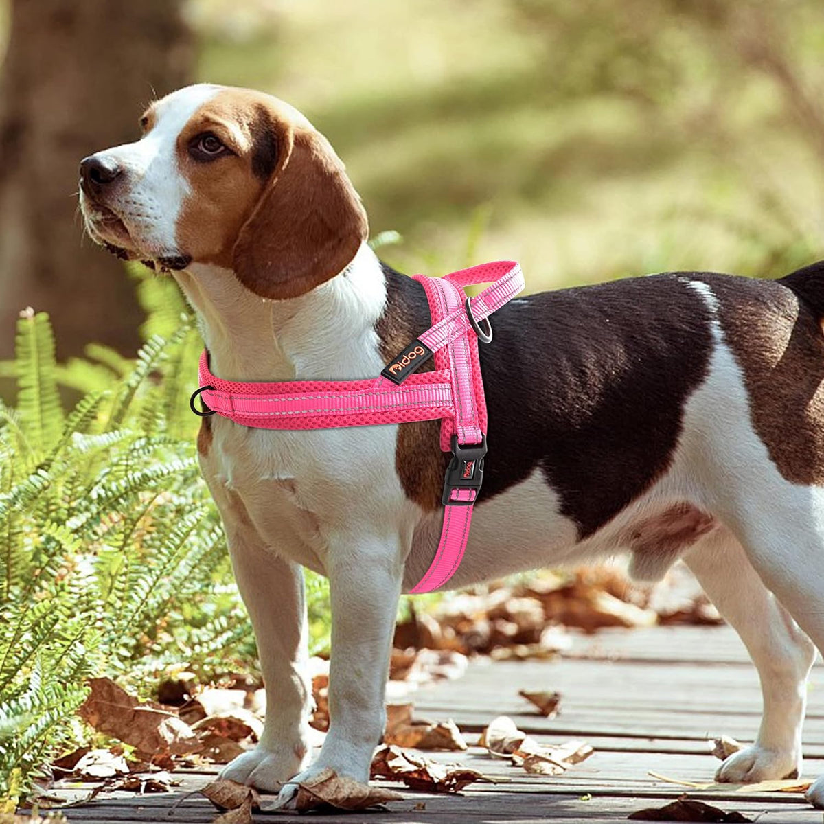 Didog No Pull Dog Harness with Soft Mesh Padded,Reflective & Quick Fit Light Weight Dog Strap Vest Harness,Easy for Walking Training (XS:Chest 15-18", Pink)