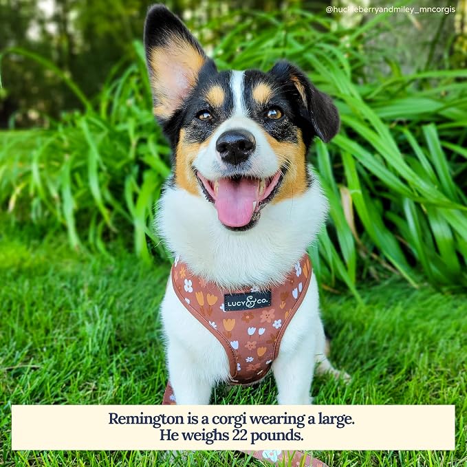 Lucy & Co. Reversible Dog Harness - Water-Repellent Neoprene, Dual-Print Design, Easy Swap Style, Adjustable Comfort Fit - Chocolate Meadows Reversible Harness - Medium
