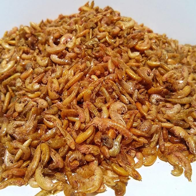 Aquatic Foods Inc. Gammarus - Freeze Dried Gammarus for Small & Medium Tropical Fish, Cichlids, Groumis, Catfish, Marine Fish, Corals, Anemones, Baby Koi and Pond Fish - 1/4-lb