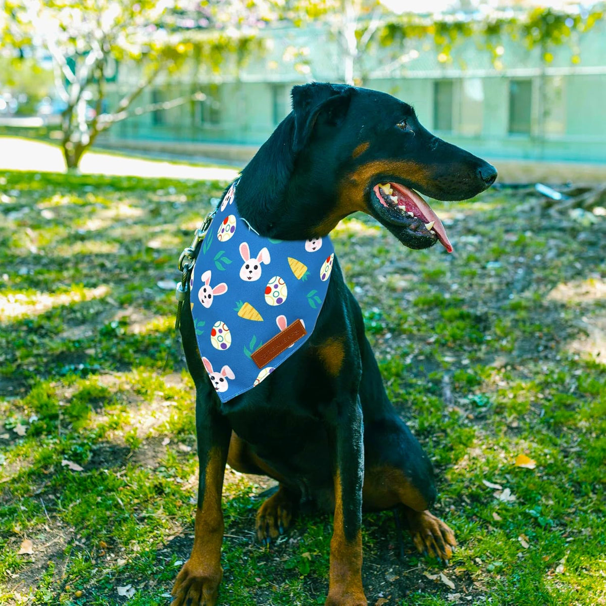 Realeaf Easter Dog Bandanas 2 Pack, Reversible Bunny Carrot and Easter Eggs Pet Scarf for Boy and Girl, Premium Durable Fabric, Holiday Bandana for Medium and Large Dogs Pets(Large)