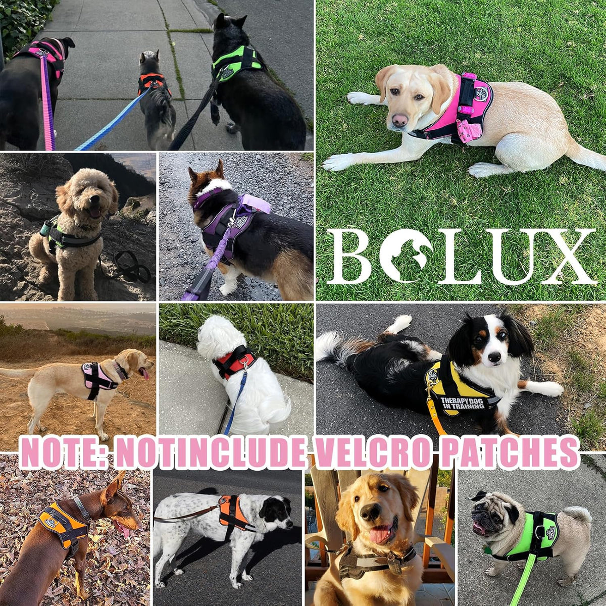 Bolux Dog Harness, No-Pull Reflective Dog Vest, Breathable Adjustable Pet Harness with Handle for Outdoor Walking - No More Pulling, Tugging or Choking (Large (Pack of 1), OilPainting)