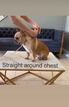 Adjustable Dog Harness– No Pull, No Choke – for English Bulldogs, French Bulldogs, Pugs & Broad-Chested Breeds – Easy, Safe Walks (Check, XL)