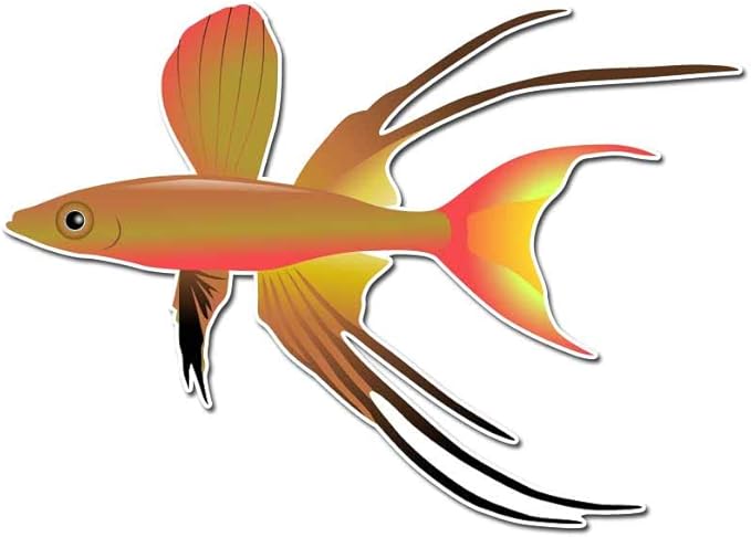 The Threadfin Rainbowfish or Featherfin Rainbowfish Aquarium Fish 8 inch Full Color Indoor Outdoor Vinyl Decal