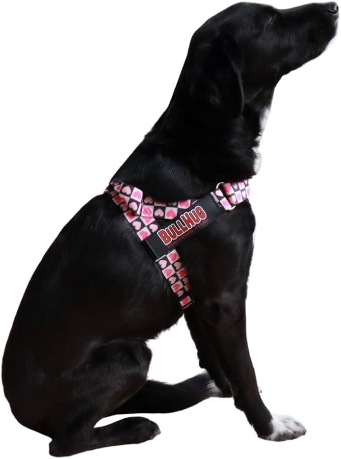 Adjustable Dog Harness– No Pull, No Choke – for English Bulldogs, French Bulldogs, Pugs & Broad-Chested Breeds – Easy, Safe Walks (Check, XL)