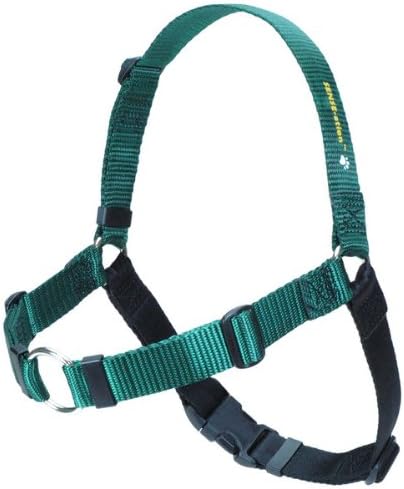 The Original Sense-ation No-Pull Dog Training Harness (Green, Medium)