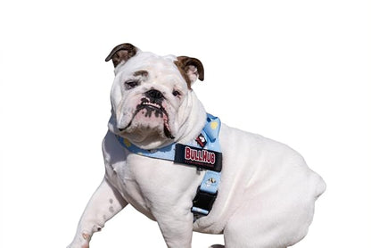 Adjustable Dog Harness– No Pull, No Choke – for English Bulldogs, French Bulldogs, Pugs & Broad-Chested Breeds – Easy, Safe Walks (Bumble BEE, XS)