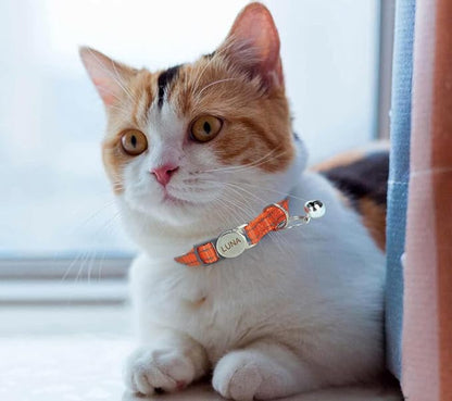 Personalized Reflective Cat Collar with Bell and Breakaway Buckle - Engraved Name and Phone Number