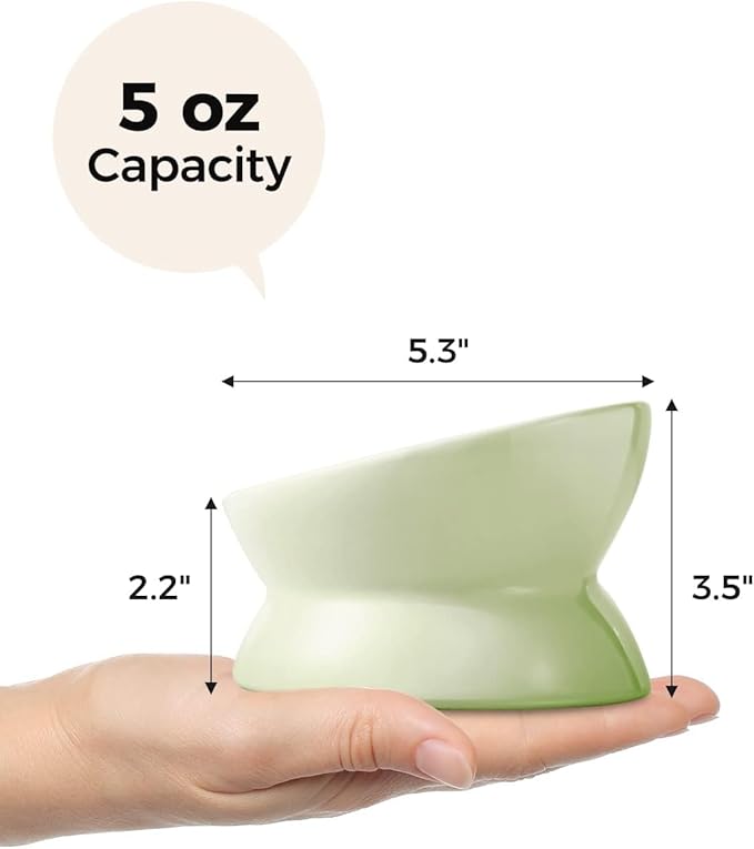LoeJan Elevated Cat Food Bowl, 5 Oz Ceramic Raised and Tilted Water Bowl, Anti Vomiting and Protect Pets' Spines Dishes for Small Dog, Fat Faced Cat, Kitten (Green, 2 Pack)