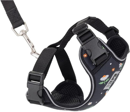 RC Pets Adventure Kitty Cat Harness | Adjustable Airmesh Vest with D-Ring and 6ft Leash for Walking and Travel | Daisies, Medium