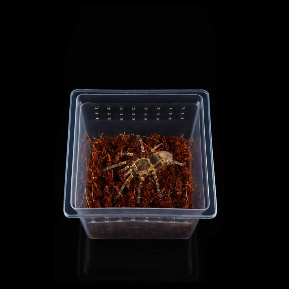 20 Pcs Spider Terrariums Breeding Box Hatching Container Acrylic Feeding Box for Small Reptile Scorpion Centipede Insect (Small Size)
