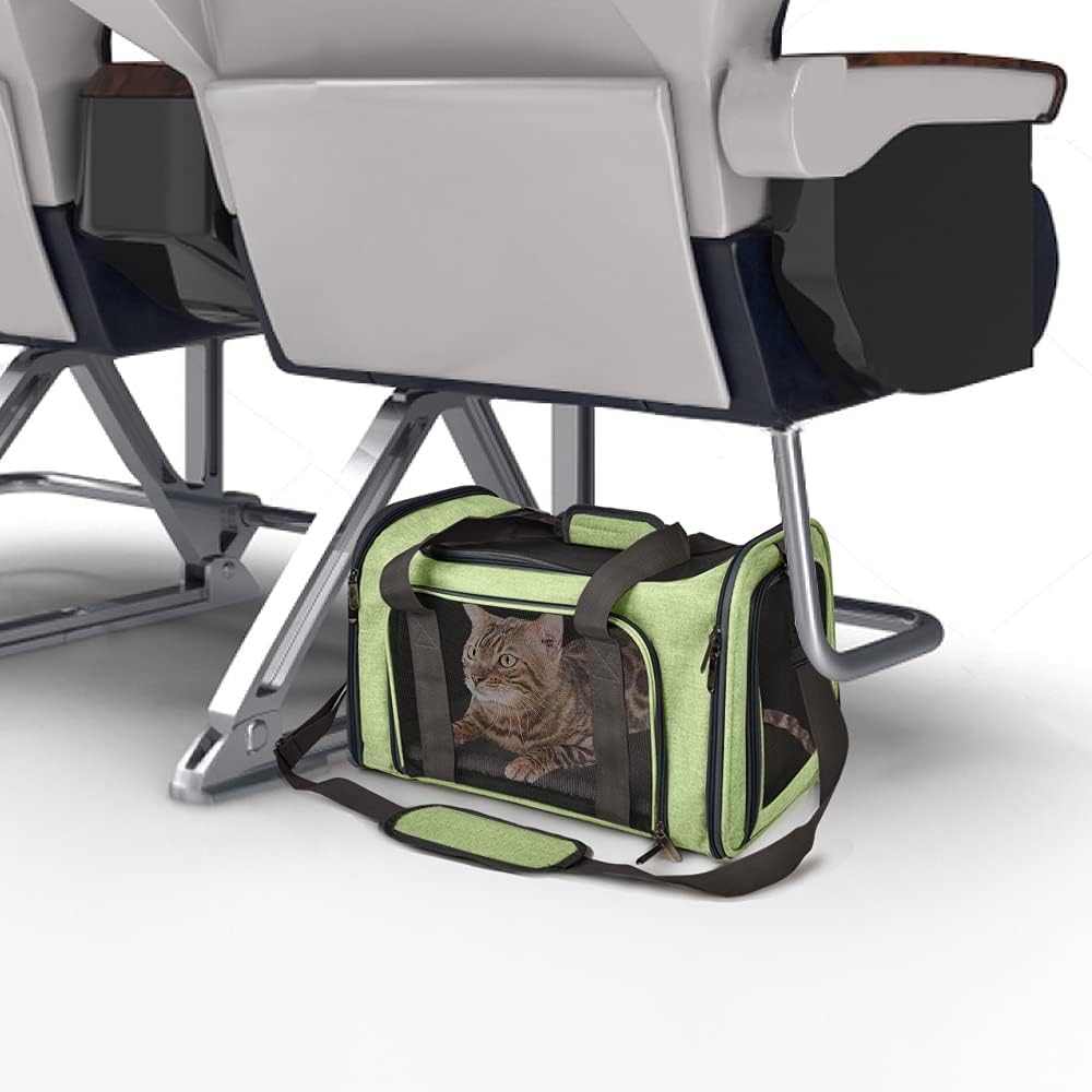 Pet Carrier for Small Medium Cats Dogs Puppies up to 15 Lbs, Airline Approved Small Dog Carrier Soft Sided, Collapsible Travel Puppy Carrier - Green
