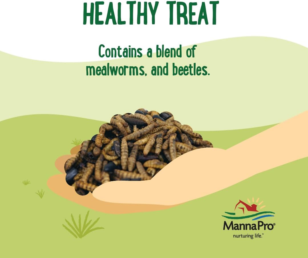 Manna Pro Farmhouse Favorites Beetle Bliss Poultry Treat – Blend of Mealworms and Beetles – All Natural Treat for Chickens, Ducks, Geese, Turkeys, & Guinea Fowl – 45% Protein – 2lb Bag