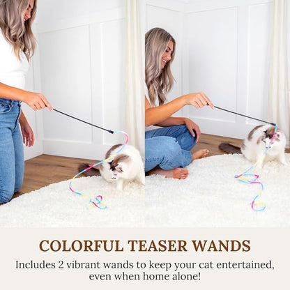 Cat Toys Set Cat Fishing Pole Retractable Wand Suction Cup & Hanging Teaser Wand for Indoor Cats & Kittens Feather Attachments Ribbon