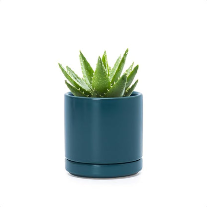 D'vine Dev 3.5 Inch Ceramic Planter Pot with Drainage Hole and Saucer, Indoor Cylinder Round Planter Pot, Teal, 94-O-A-9
