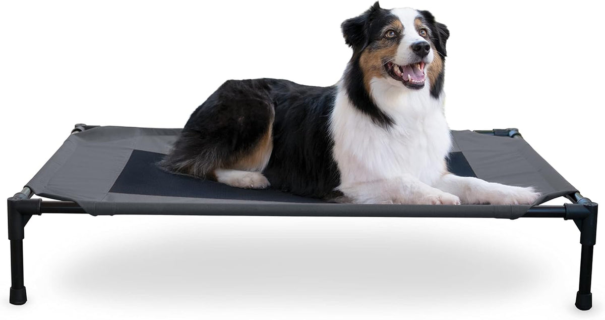 K&H Pet Products Outdoor Elevated Dog Cot, Breathable Cooling Elevated Cot Hammock Pet Bed for Large Dogs, Washable Mesh Cover, Raised Metal Frame, Collapsible, Portable - Large 42 X 30in Charcoal