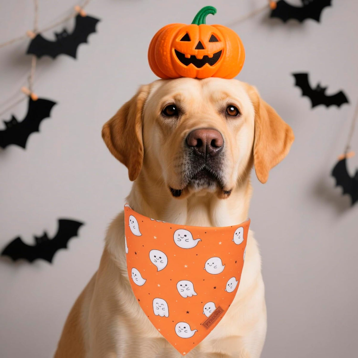 PTDECOR Halloween Dog Bandana, Cute Ghost Pumpkin Design Reversible Holiday Pet Scarf, Adjustable Orange Yellow Halloween Bandanas for X-Large Dogs Pets(X-Large)