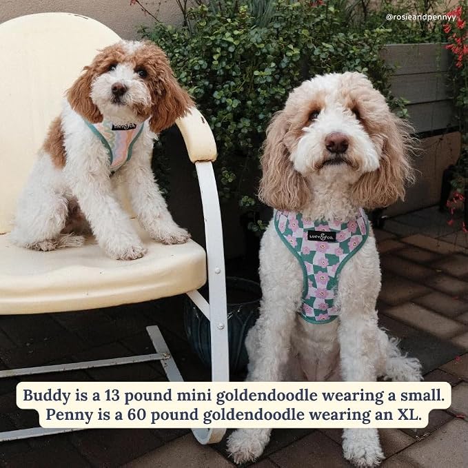 Lucy & Co. Reversible Dog Harness - Water-Repellent Neoprene, Dual-Print Design, Easy Swap Style, Adjustable Comfort Fit - Just Chill Reversible Harness - Small