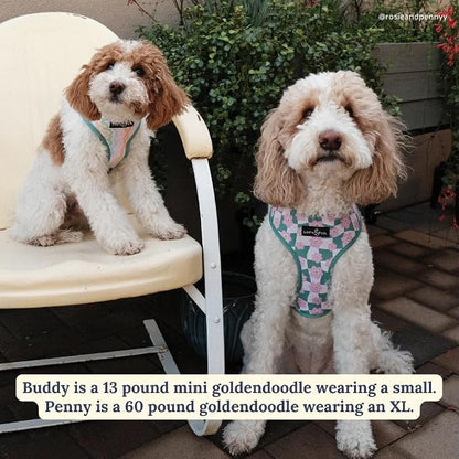 Lucy & Co. Reversible Dog Harness - Water-Repellent Neoprene, Dual-Print Design, Easy Swap Style, Adjustable Comfort Fit - Just Chill Reversible Harness - Small