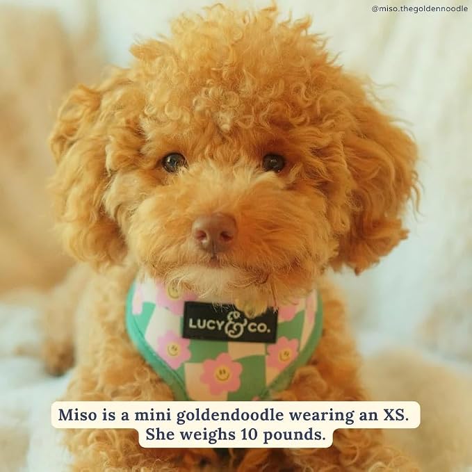 Lucy & Co. Reversible Dog Harness - Water-Repellent Neoprene, Dual-Print Design, Easy Swap Style, Adjustable Comfort Fit - Just Chill Reversible Harness - Small