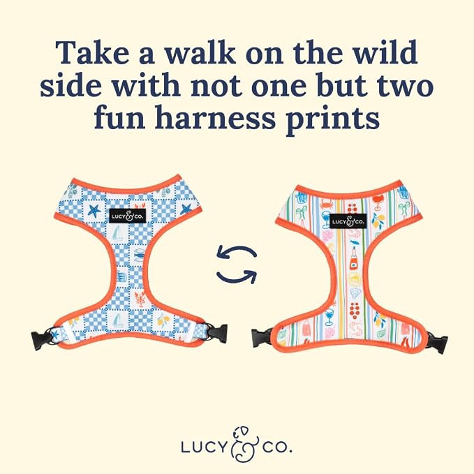 Lucy & Co. Sunny in Sicily Reversible Dog Harness, Adjustable Comfort Fit with Dual Leash Attachments, X-Small