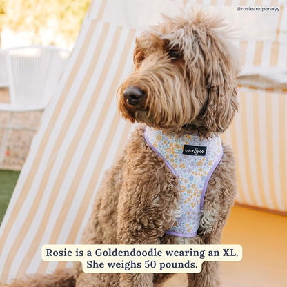 Lucy & Co. Reversible Dog Harness - Water-Repellent Neoprene, Dual-Print Design, Easy Swap Style, Adjustable Comfort Fit - Among Wildflowers Reversible Harness - Small