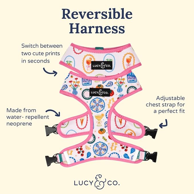 Lucy & Co. Dolce Vita Reversible Dog Harness, Adjustable Comfort Fit with Dual Leash Attachments, X-Large
